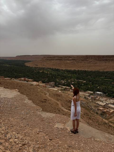 Person pointing towards a lush valley from a high vantage point.