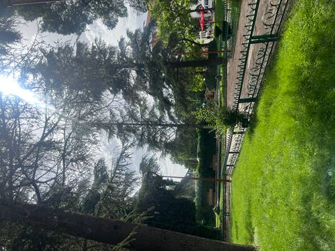 Green public park with benches and large trees.