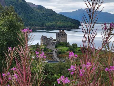 View of a medieval castle by a loch surrounded by vegetation.