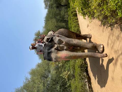 Two people riding an elephant on a dirt path.