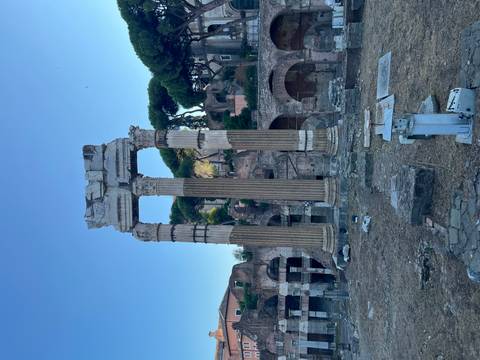       Ruins of ancient Roman columns
  