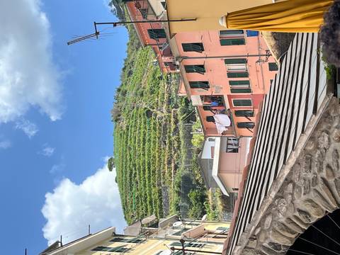 View of a hillside with terraced vineyards