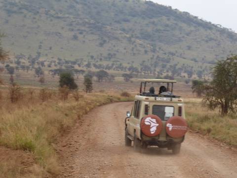       Safari vehicle on a dirt road in the savanna
  