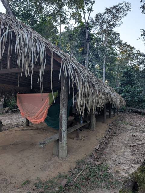 Rustic hut with hammocks in a jungle setting
