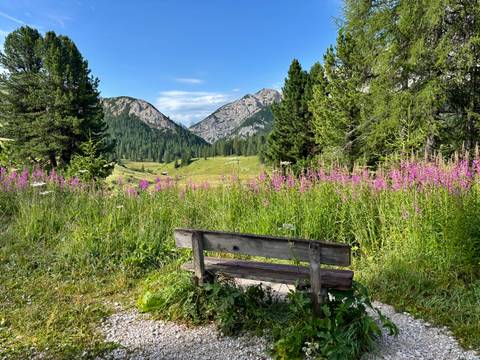       A scenic bench with superb views of a mountain valley in the distance.
  