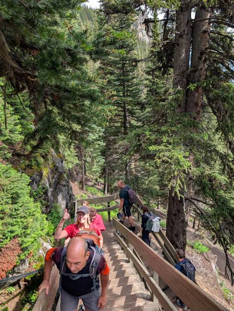 Hikers on a wooden bridge surrounded by dense forest.