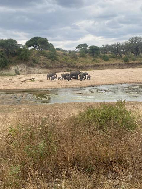Photo d'avis client sur 4 Jours 3 Nuits Tarangire ,Serengeti et; Ngorongoro Lodge Safari 
