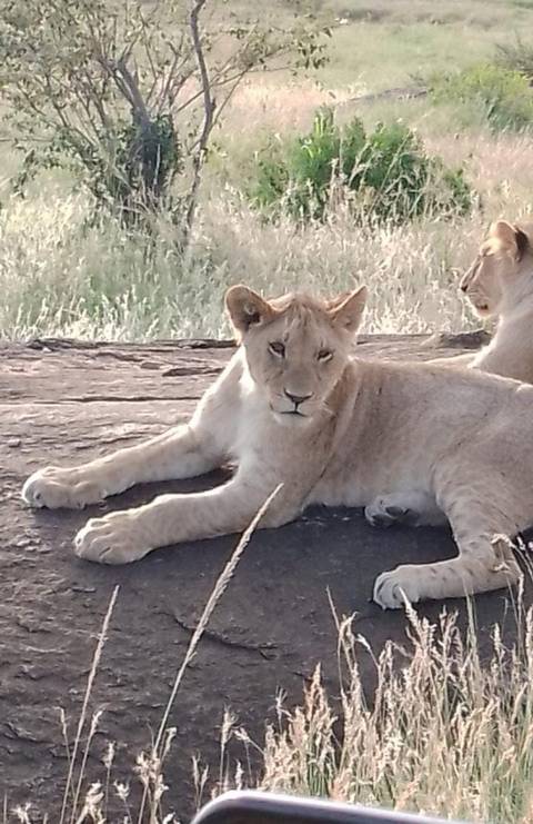       foto de reseña de cliente de Viaje de lujo de 12 días a Kenia y Tanzania - Privado 
  