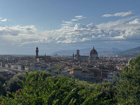 Panoramic view of Florence with the Duomo.