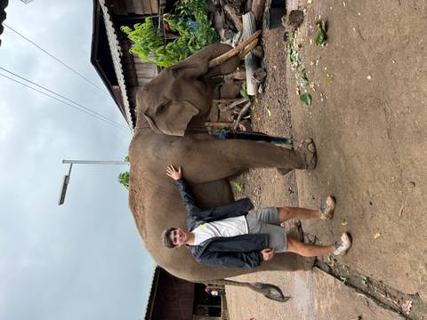 Man petting a large elephant.