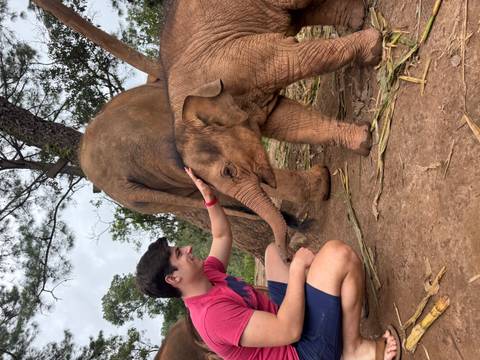 Man with a young elephant, gentle interaction.