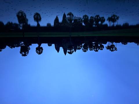       Silhouette of Angkor Wat with palm trees at dawn.
  