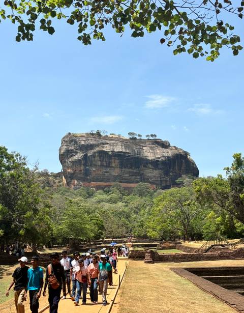 Sigiriya Rock surrounded by lush greenery.