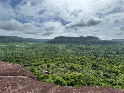 Expansive view of a dense green forest with distant hills.