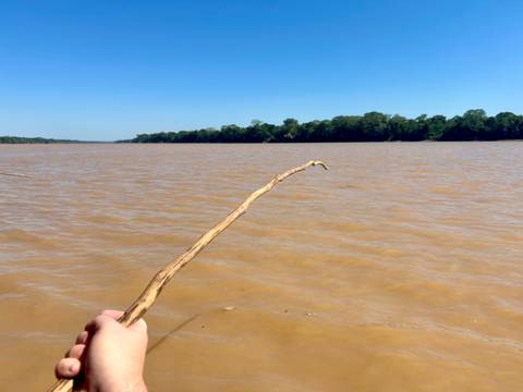 Brown river with a stick pointing out towards the water.