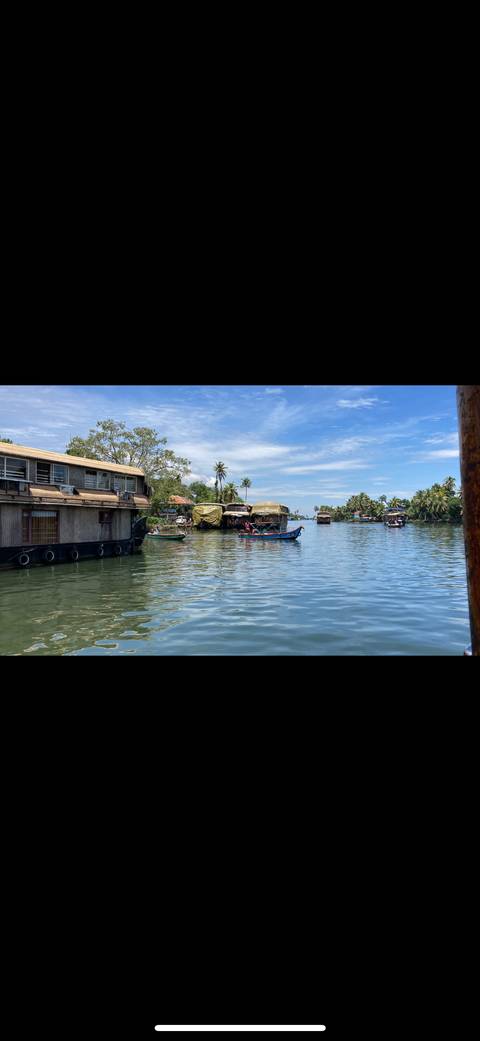 Backwater scene with houseboats and coconut trees.