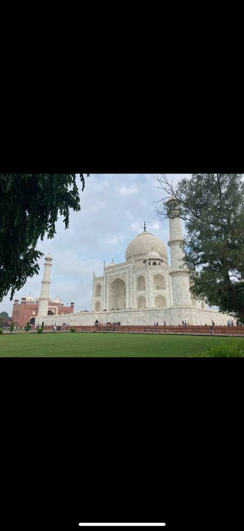 Side view of the Taj Mahal with a green tree in the foreground.