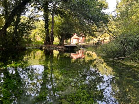 Trees and a house reflecting in a clear stream.