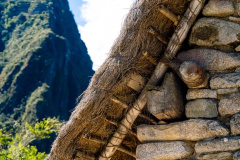 Close-up of roof with mountains in the background.