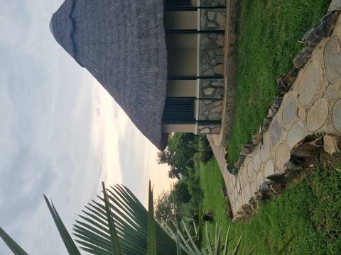 Traditional hut with thatched roof and garden pathway.
