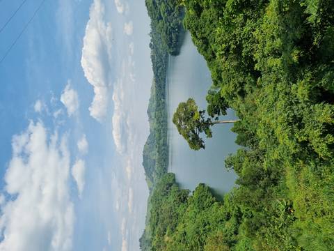Scenic lake with surrounding greenery.