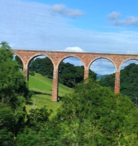 Partially blurry image of viaduct in a green landscape.
