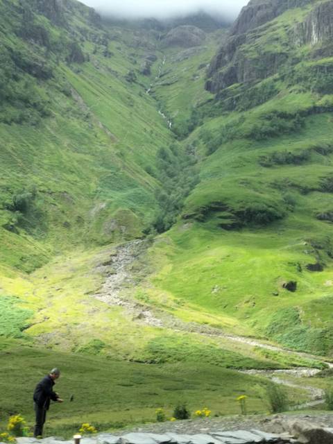 Blurry image of green valley.