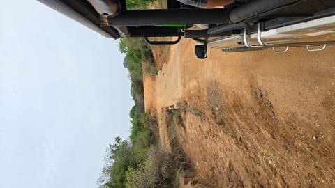 View from a safari vehicle on a dirt road.