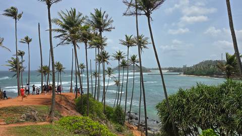 Coastal view with palm trees and people.