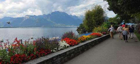       Walking path by a lake with flowers and mountains
  
