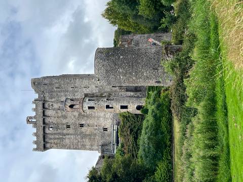 Exterior view of a medieval castle with round towers and greenery.