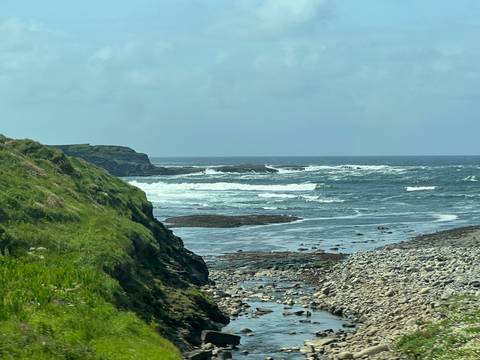 Rocky coastline with waves crashing and lush greenery.
