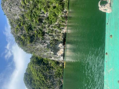       Stunning limestone formation with lush greenery over emerald waters.
  