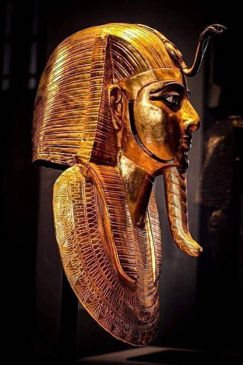 Klantbeoordelingsfoto van Egypte & De Nijl - 10 dagen Caïro, Nijlcruise & Alexandrië (binnenlandse vlucht) 