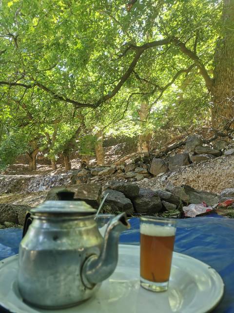 Forest area with rocks and a hint of a teapot in the foreground.