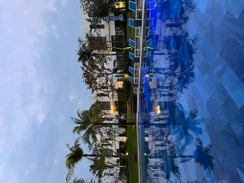 Modern swimming pool with lounge chairs and palm trees