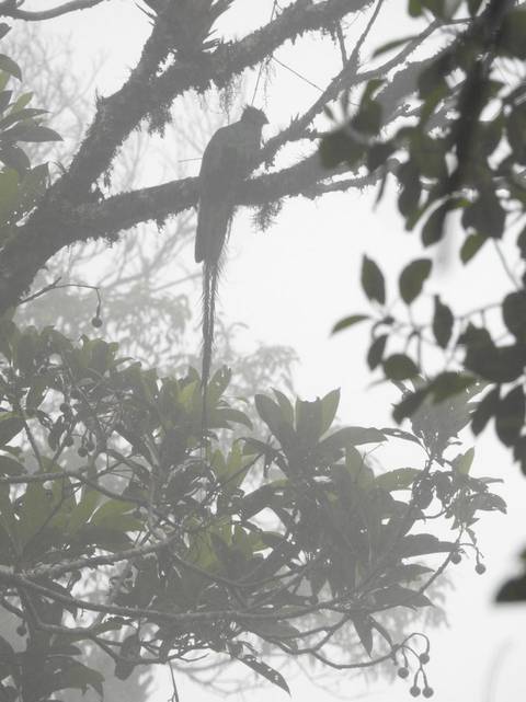 Photo d'avis client sur Guatemala Overland en 11 jours 