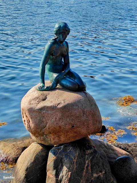       A bronze statue of a mermaid sitting on a rock by the water.
  