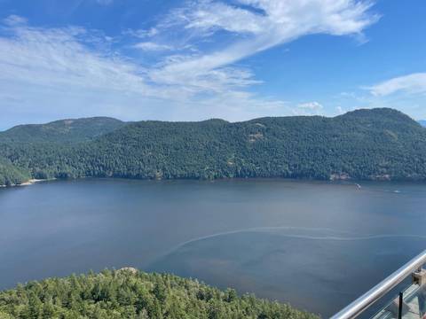 Aerial view of a large body of water surrounded by forested mountains.