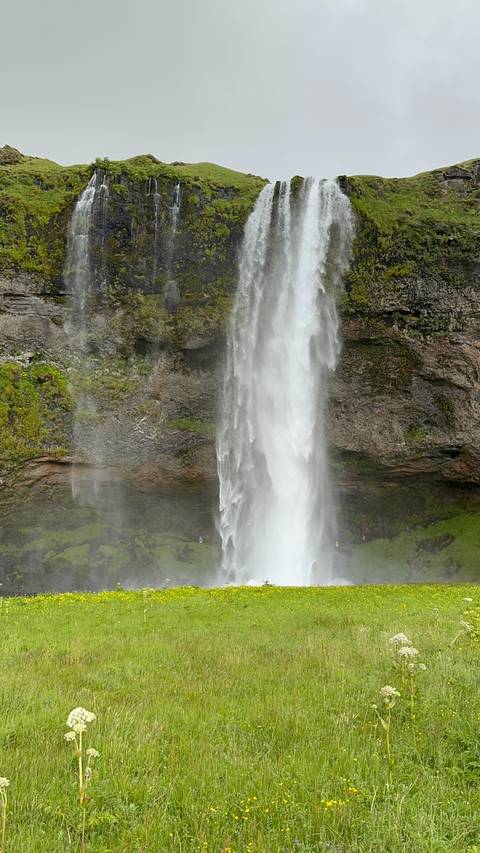 Towering Seljalandsfoss waterfall cascading over mossy cliffs.