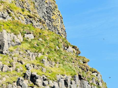 Cliff face with vegetation overlooking a blue sky.