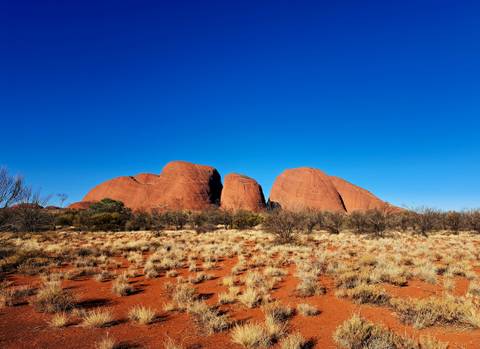       The Olgas rock formations with surrounding desert vegetation.
  