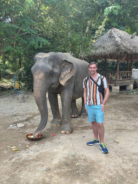 Person posing with an elephant under a shaded area.
