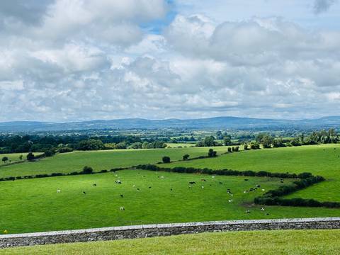 A panoramic view of the countryside with fields and trees.