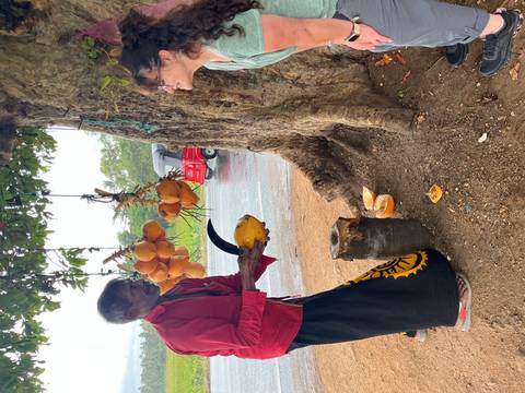 Vendor selling coconuts to a customer by the roadside.