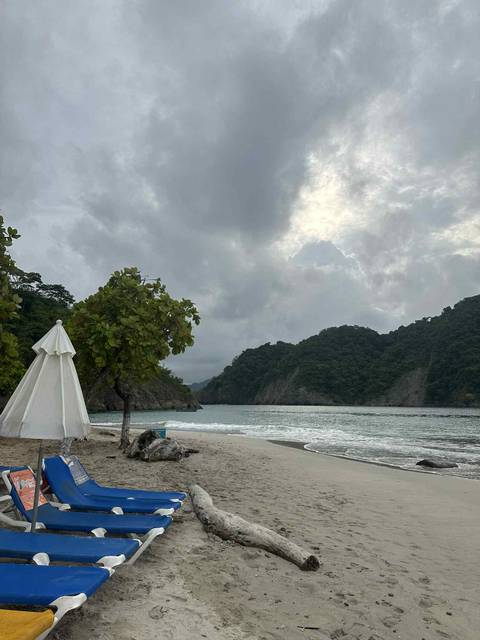 Cloudy beach scene with trees and cliffs.
