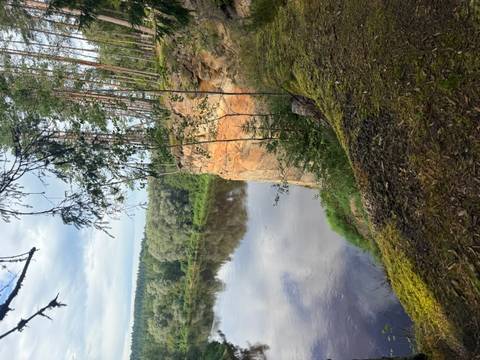       A cliffside view with a river and forested hills.
  