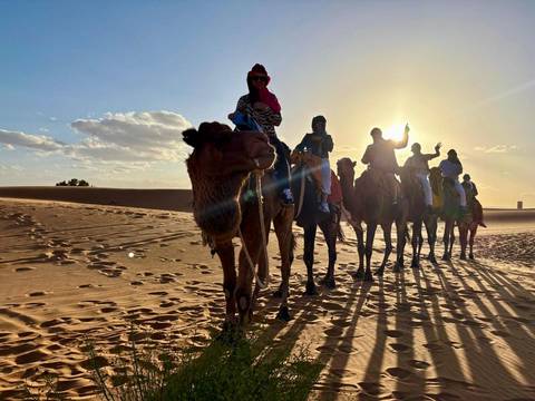 Group of people on camels in the desert.