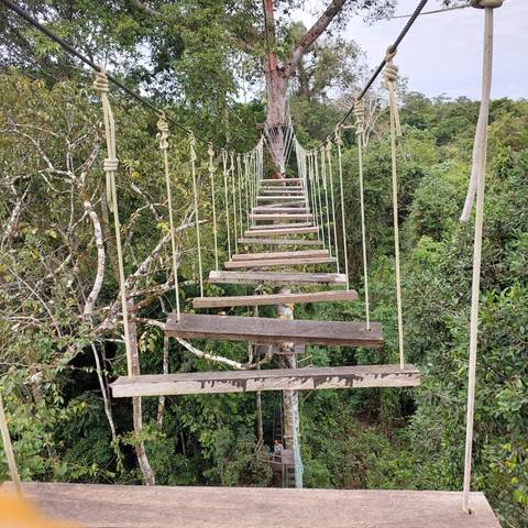 Suspension bridge in a forested area.