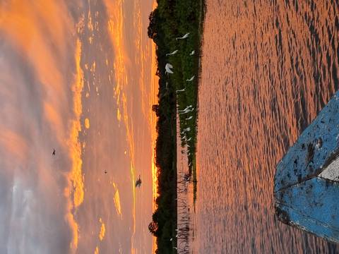       Sunset over a river with birds and vegetation.
  